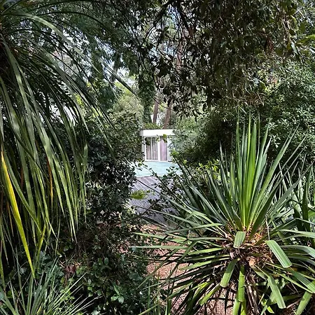 L'amour A La - Piscine Chauffee - 8 Personnes Villa La Tremblade